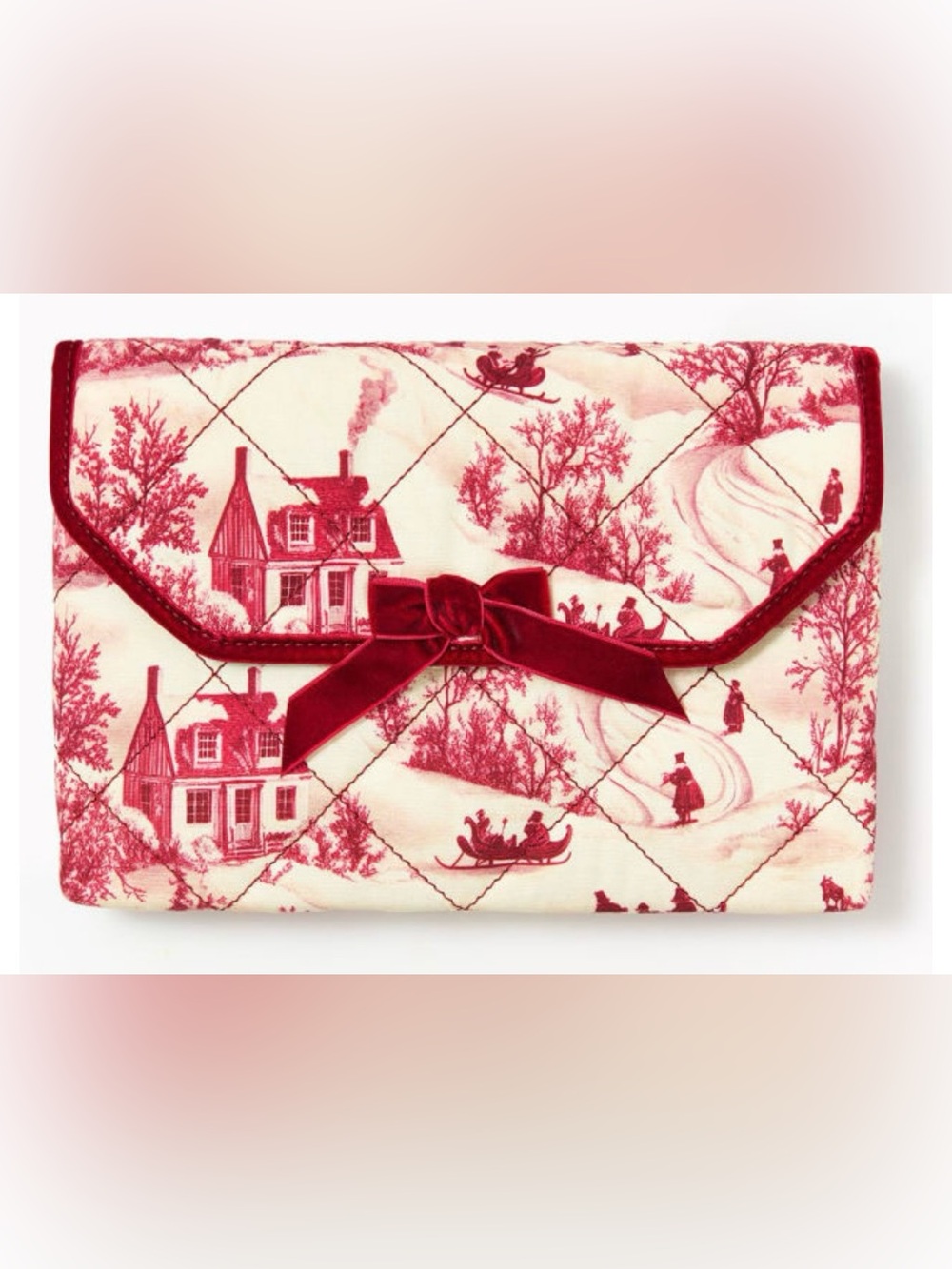 Winter Velvet Book Pouch